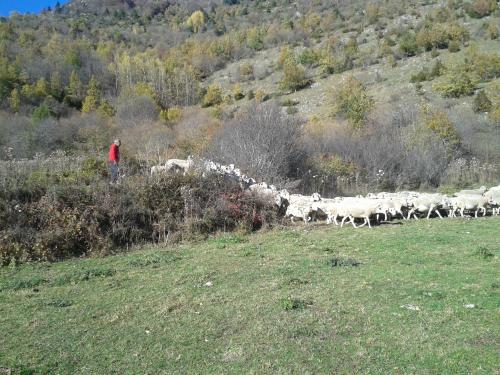Le retour de l'escadron perdu