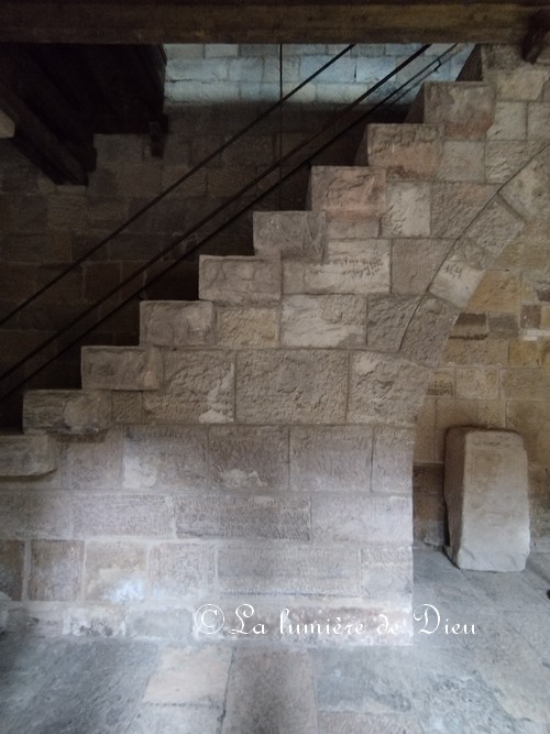 Fréjus, le cloître de la cathédrale saint Léonce
