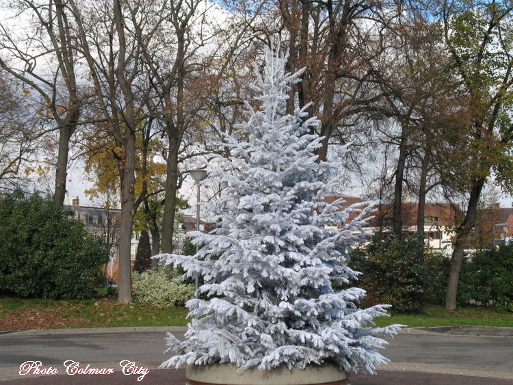 Noël approche : Souvenir d’enfance