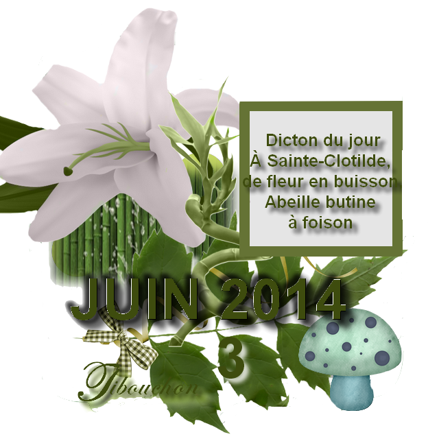 ╠♥╣ DICTON DE JUIN