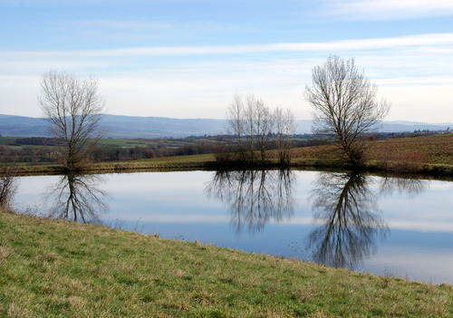 Randonnée.Lempdes sur Allagnon.19.02.2018