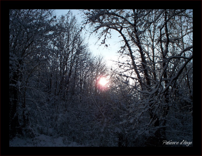 Neige sous le soleil d'Alsace...