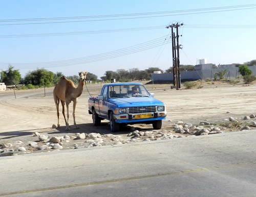 Oman Désert du Wahiba