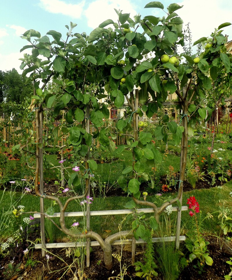 Metz place de la Comédie : un jardin éphémère  