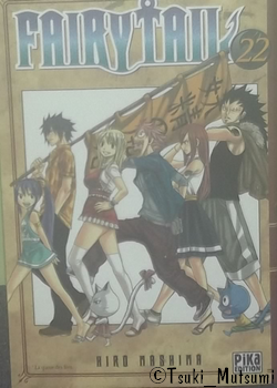 Fairy Tail - tome 22