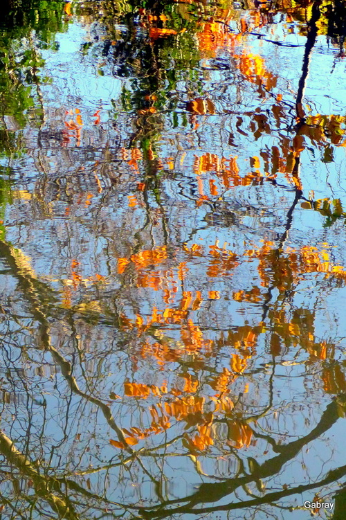 Canal du Midi : des arbres et des reflets ... n 2