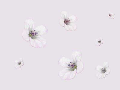 Papiers peints fleurs pour vos blogs