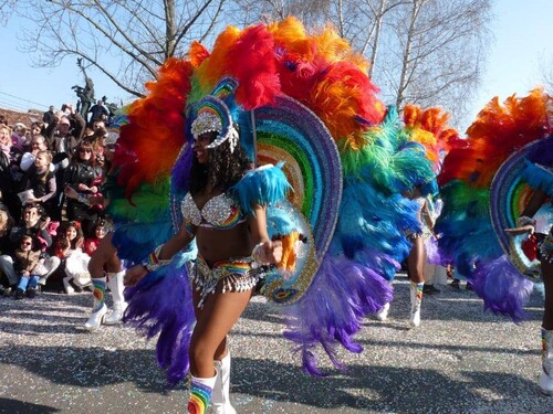 Le carnaval d'Albi