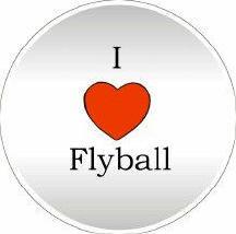 flyball canin