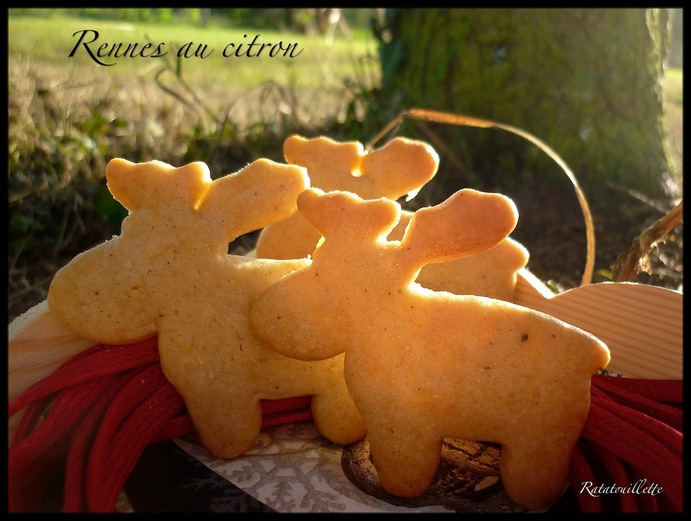Petits gâteaux de Noël 5 : les rennes du Père Noël au citron