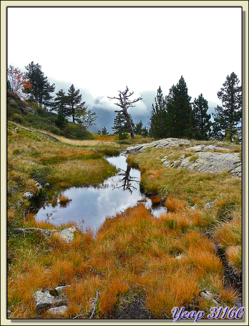 Alentours du Lac des Grauès - Vallée du Lis - Bagnères de Luchon - 31