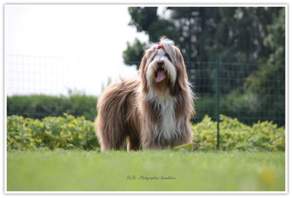 ♥ Natty & Neela petites-filles d' Athos fêtent leur 5 ans♥