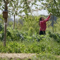 Linda Bedouet dans sa micro-ferme