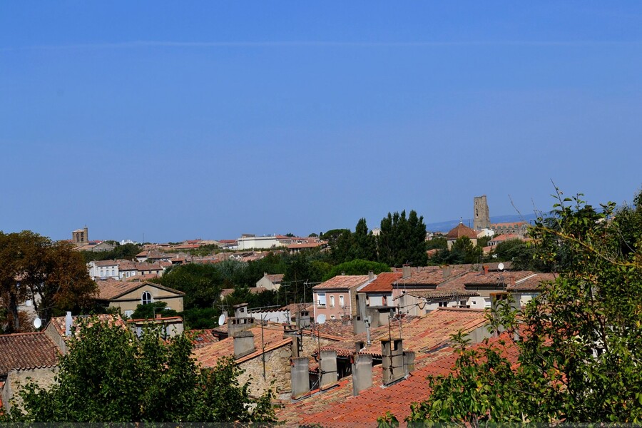 SOUVENIRS DE CARCASONNE