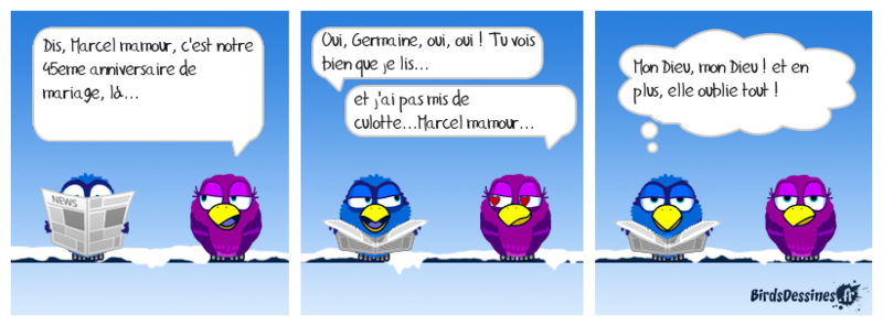 Les birds ..... du samedi.