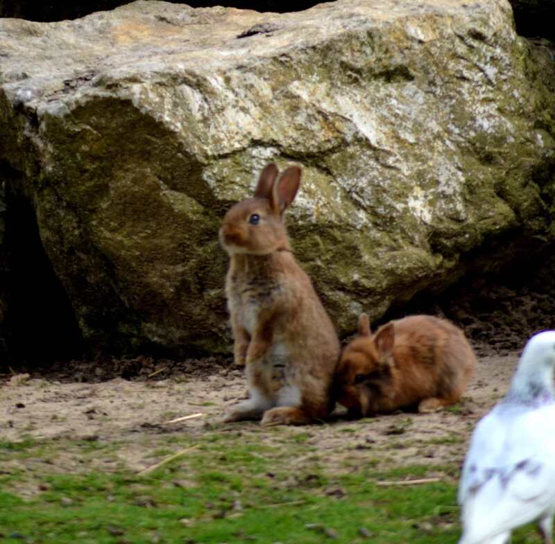 "Cache toi derrière moi pendant que j'inspecte les environs" ( au jardin public).