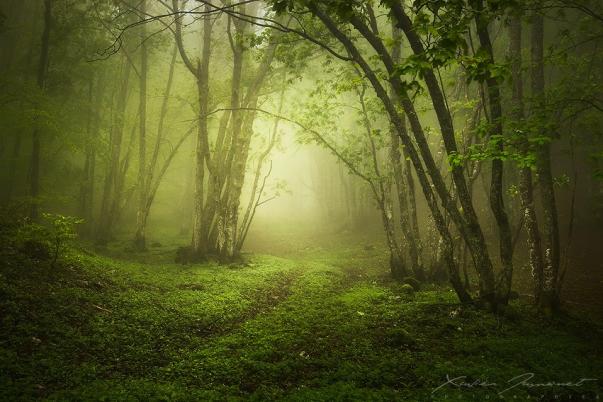 Ecrins de Lumière - Photographies de Xavier Jamonet