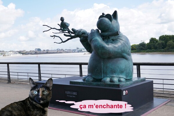Le chat déambule sur les quais de Bordeaux (5)