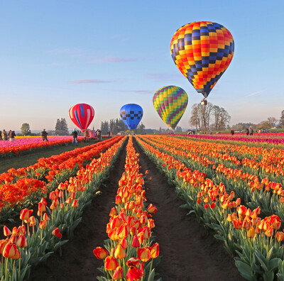 season balloons spring balloons 