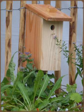 La foire aux plantes d'Aywiers