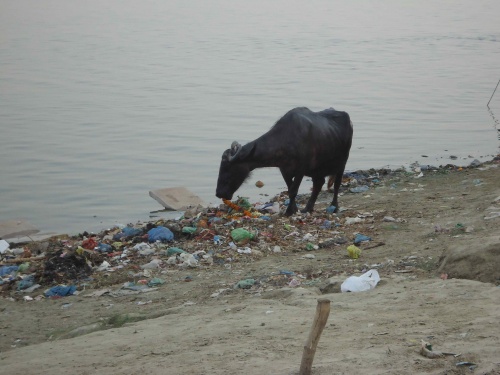 Varanasi, ville sacrée