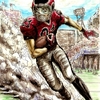 SENA IMAGE EYESHIELD 21