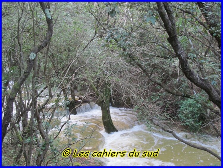 La source de l'Huveaune