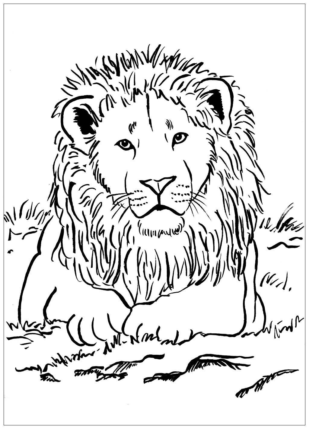 Savane Africaine Coloriage Animaux De La Savane Coloriages des animaux de la savane (suite) - MatthieuPSL