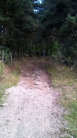 Frères Yoyo et Sergio sur le chemin de la rédemption   