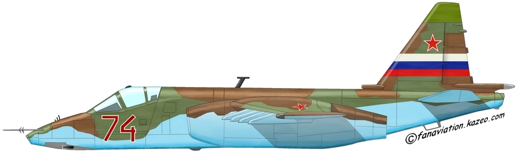 Sukhoï Su-25 « Frogfoot »