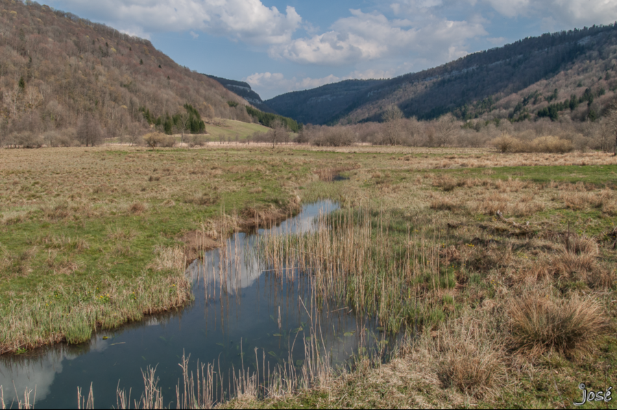 Tourbière du Val Dessous, Jura.