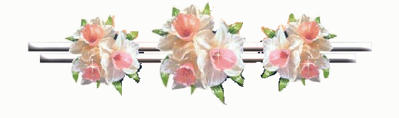 Martin Garrix - Animals