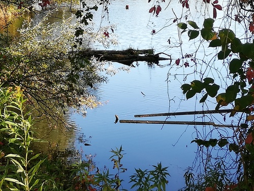 reflets chez Annie