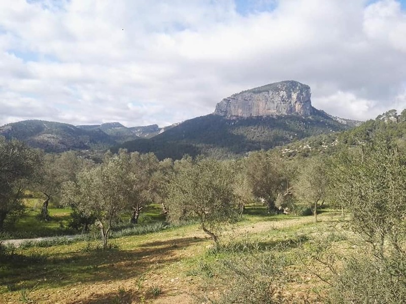 un printemps à majorque 