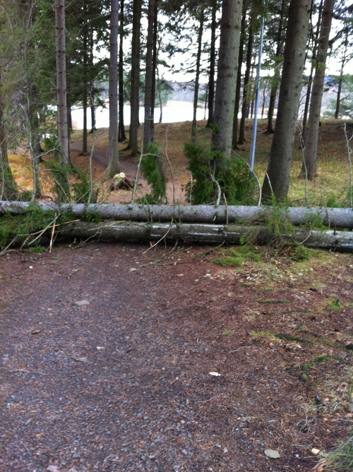 Bilder från motoinsrundan samt Pepparkakshuset,,,