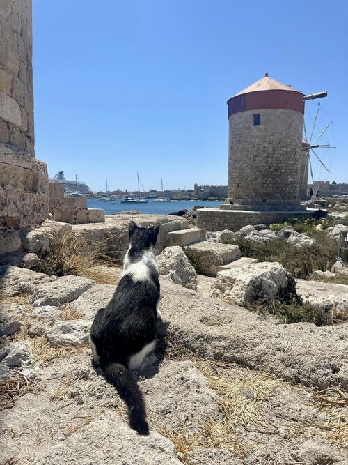 Une petite balade à Rhodes en Grèce