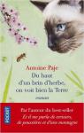 Du haut d\'un brin d\'herbe, on voit bien la Terre par Antoine Paje