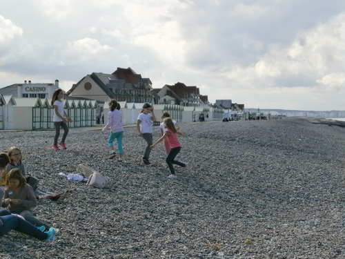 Sortie Cayeux-sur-mer sept CYCLE 3 2016