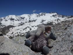 mascotte en montagne