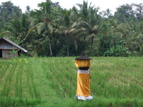 Souvenirs de Bali, suite.