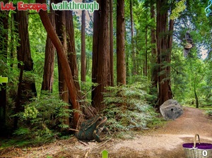 Jouer à Sequoia forest adventure
