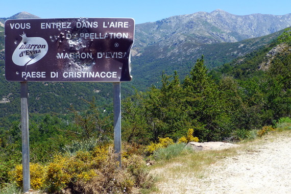 - L'île aux Cochons...