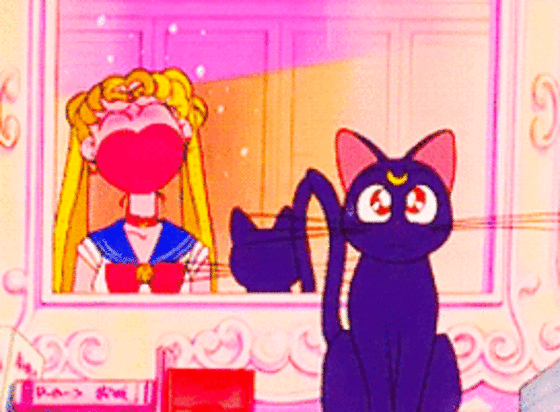 Usagi (Sailor Moon)