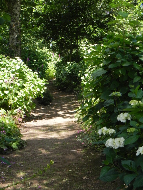 Le Jardin de Danyland 