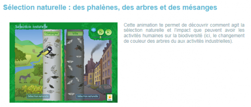 Animations biodiversité