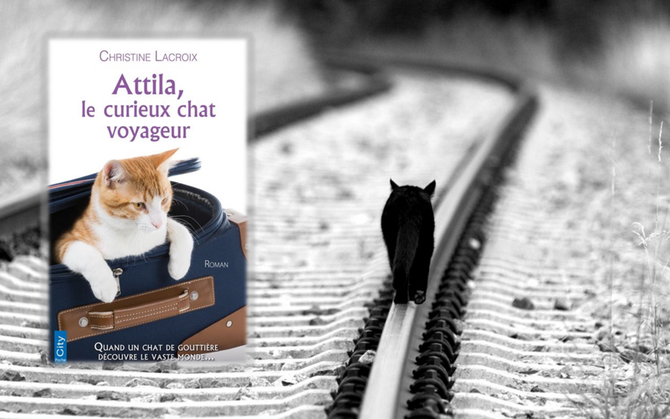 Attila, le curieux chat voyageur