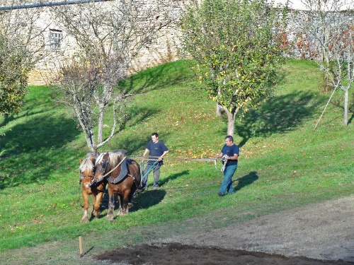 Des labours dans les jardins du château de Bussy-Rabutin...