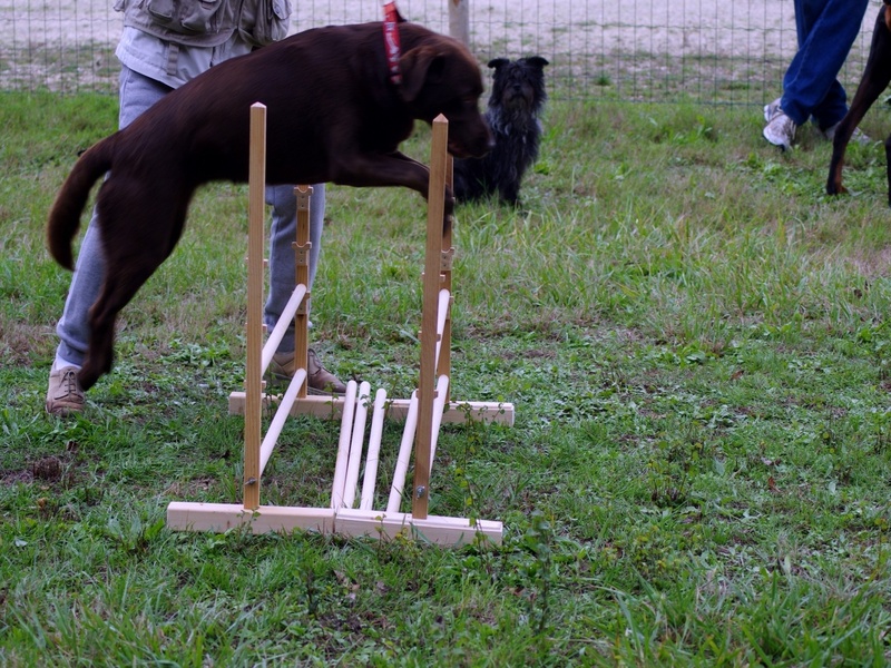 Entraînement du 07 octobre 2012