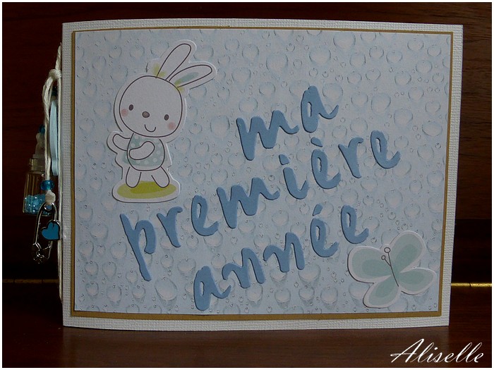 Mini album de naissance