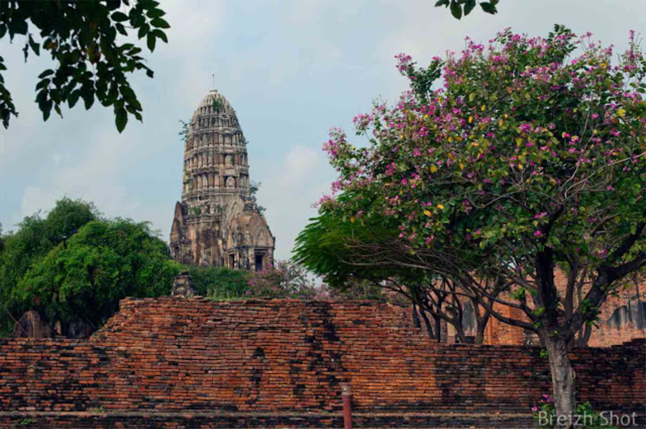 Ayutthaya - bouddhas décapités